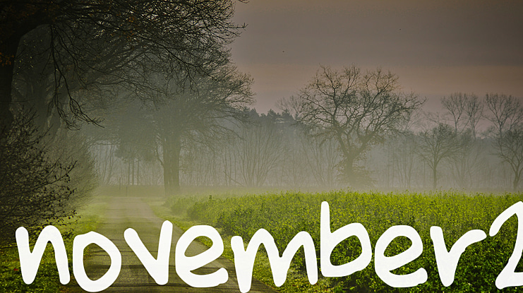 november2 Font