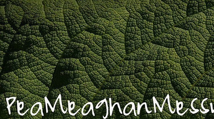 PeaMeaghanMessy Font
