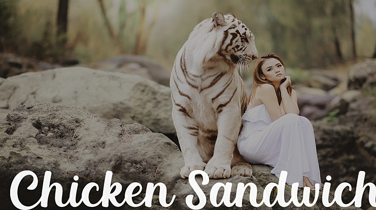 Chicken Sandwich Font