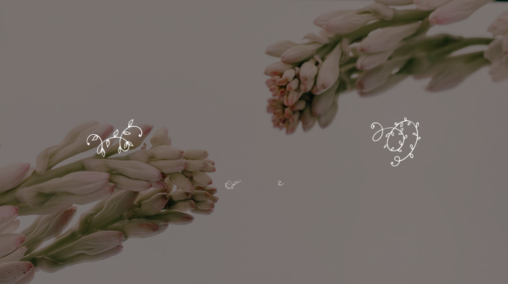 Ornament Handrawn Font