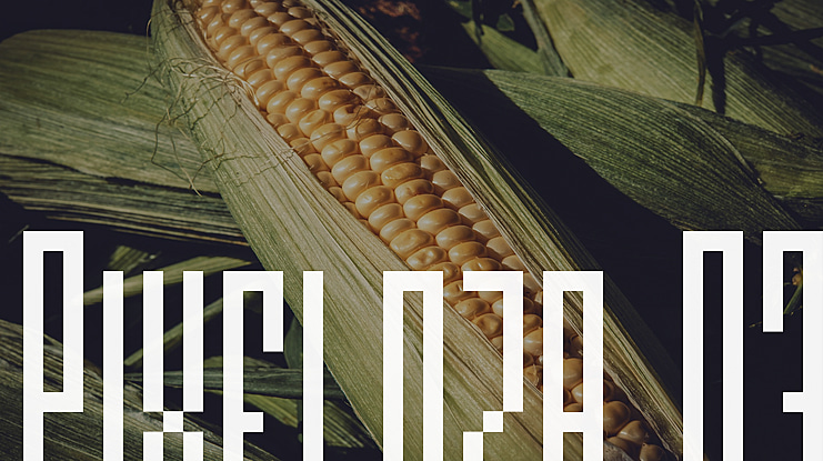 Pixeloza 03 Font