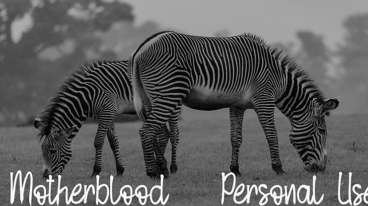 Motherblood - Personal Use Font