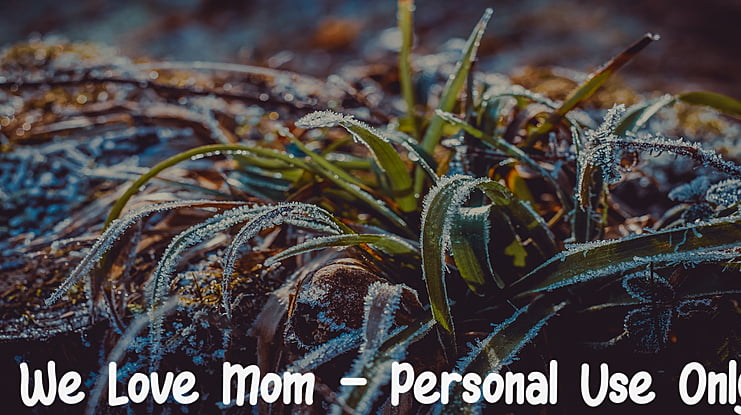 We Love Mom - Personal Use Only Font