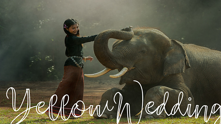 YellowWedding Font
