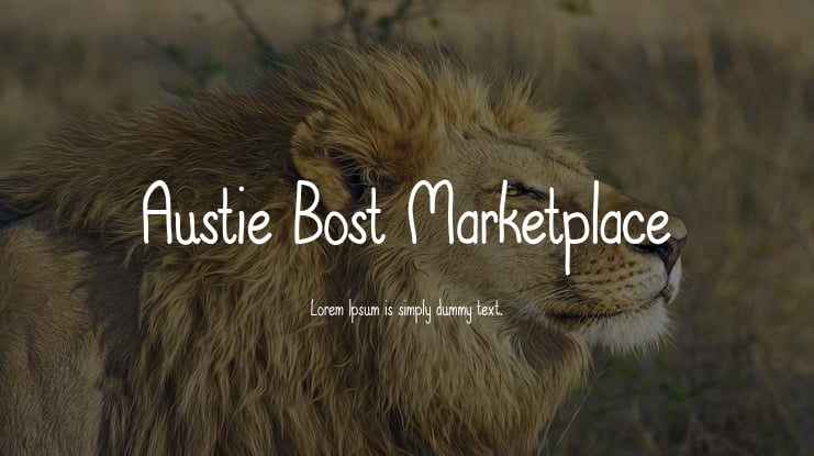 Austie Bost Marketplace Font
