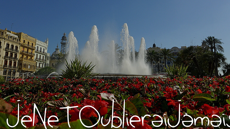 JeNeTOublieraiJamais Font