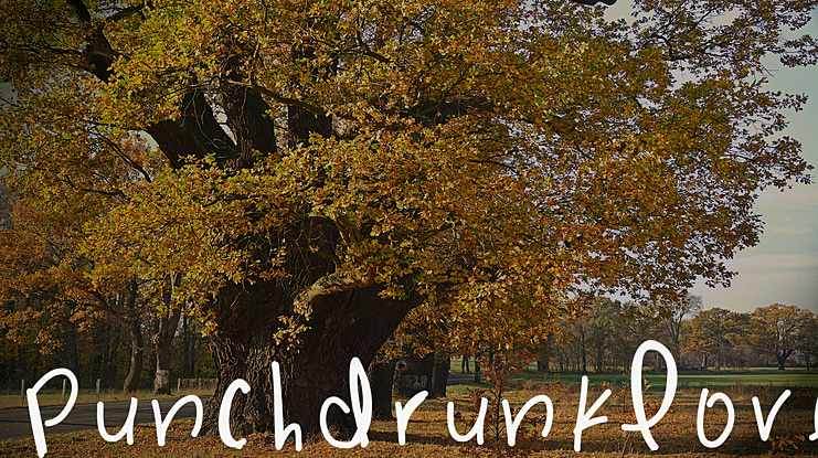 PunchDrunkLove Font