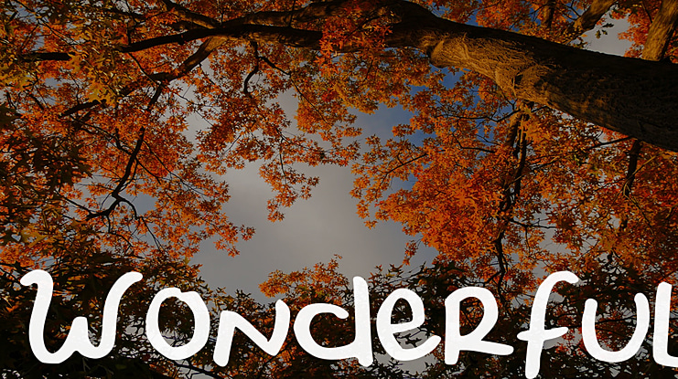 Wonderful Font