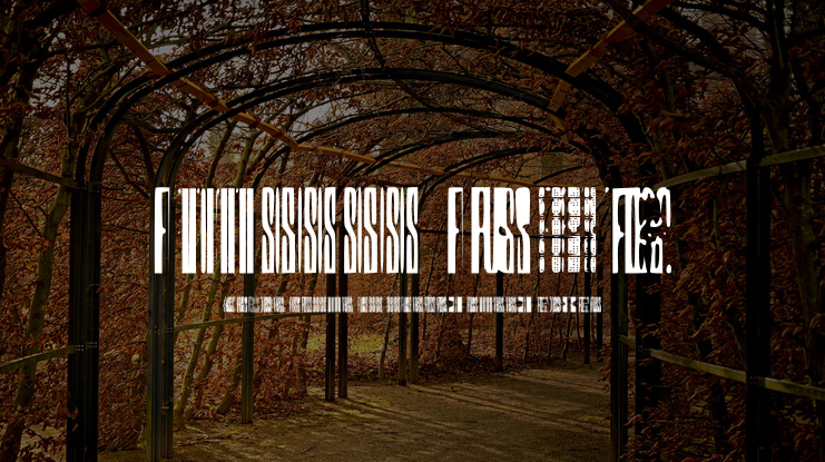 Fuss Font