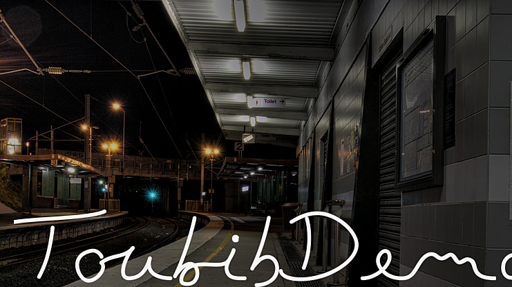 ToubibDemo Font Family