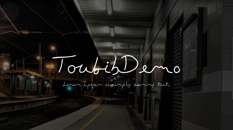 ToubibDemo Font Family