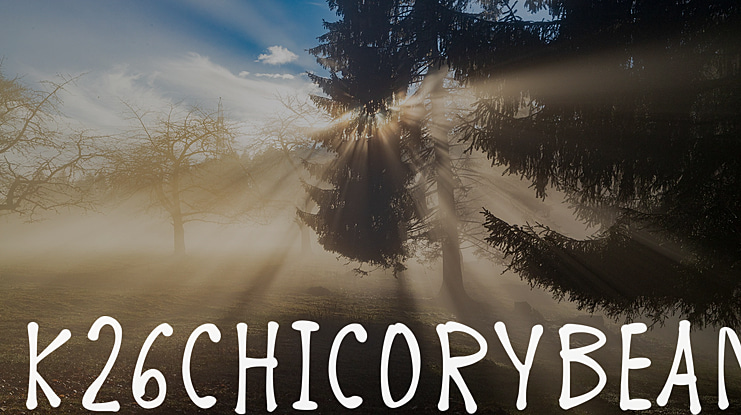 K26ChicoryBean Font