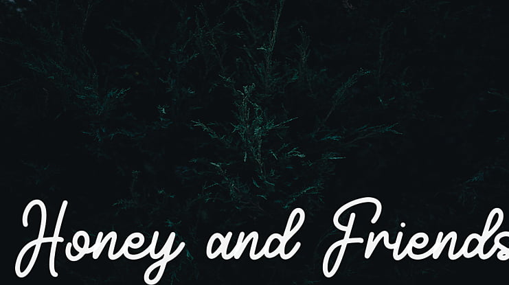 Honey and Friends Font