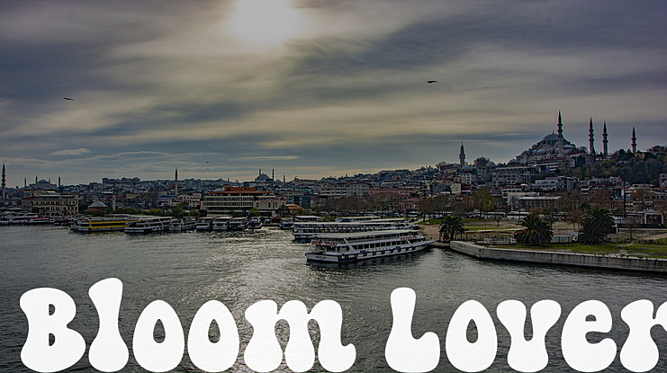 Bloom Lover Font
