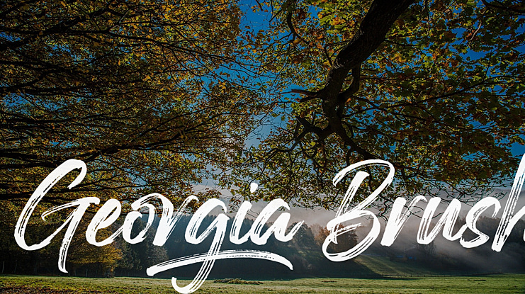 Georgia Brush Font