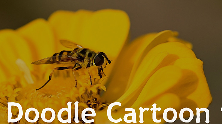 Doodle Cartoon 1 Font Family