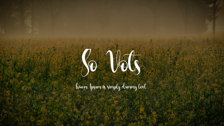 So Vots Font