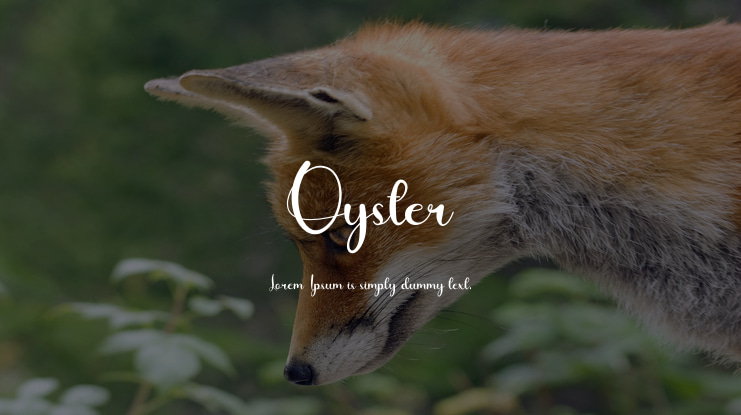 Oyster Font