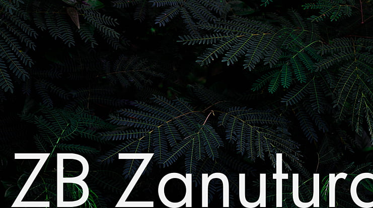 ZB Zanutura Font Family