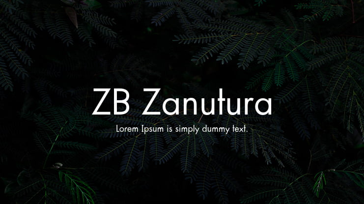 ZB Zanutura Font Family