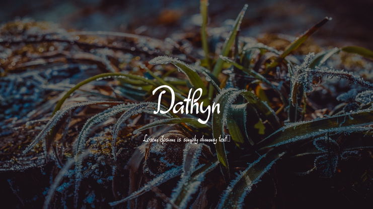 Dathyn Font