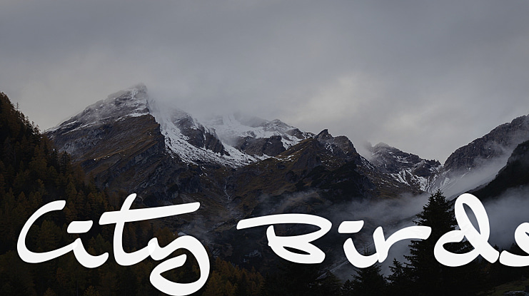City Birds Font