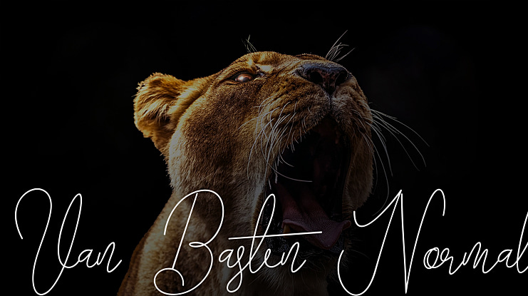 Van Basten Font Family