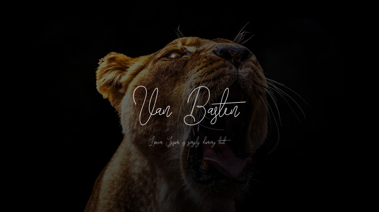 Van Basten Font Family