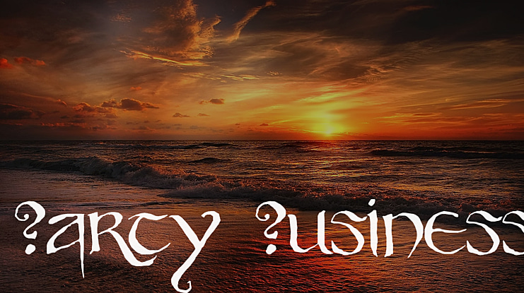 Party Business Font