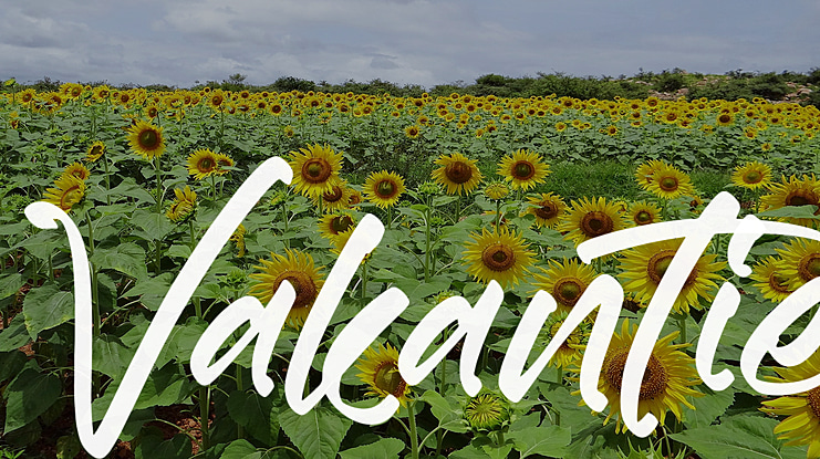 Vakantie Font