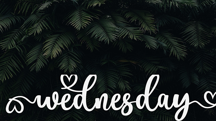 Wednesday Font