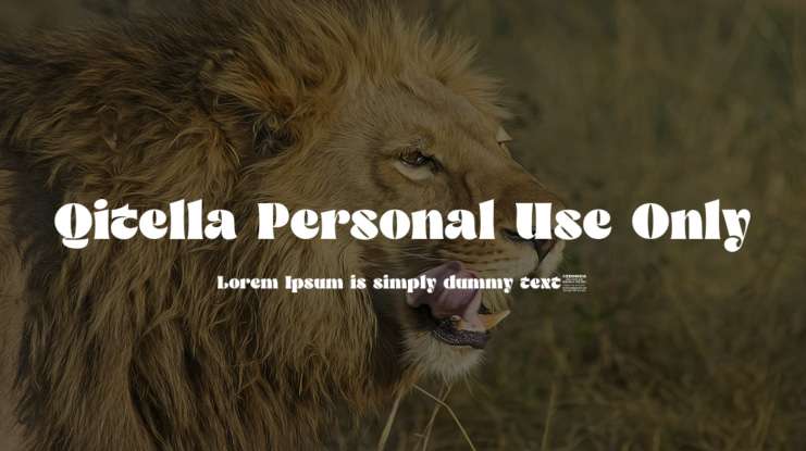 Qitella Personal Use Only Font