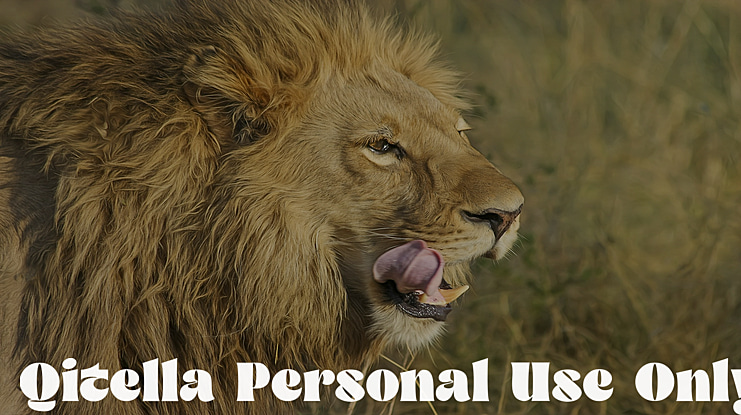 Qitella Personal Use Only Font