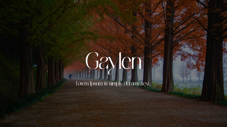 Gaylen Font