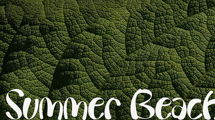 Summer Beach Font