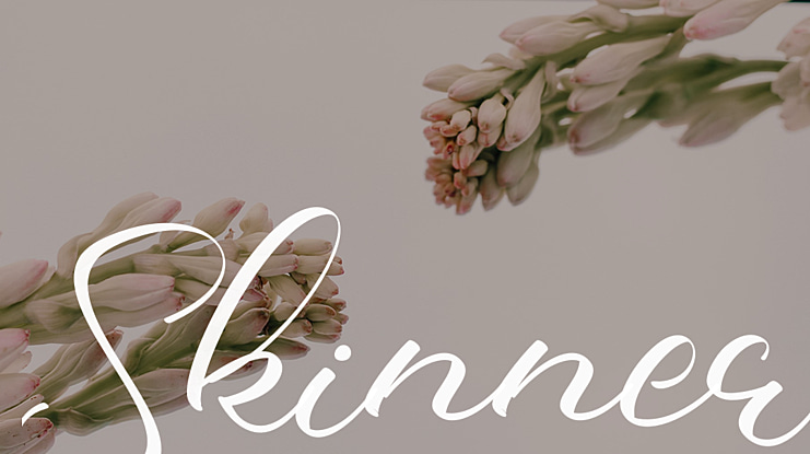 Skinner Font