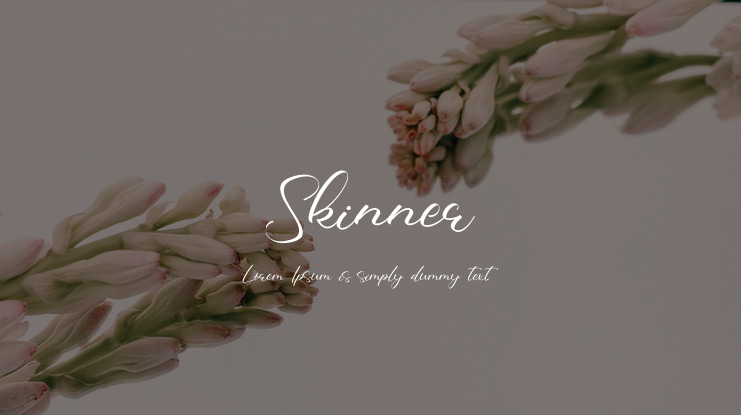 Skinner Font