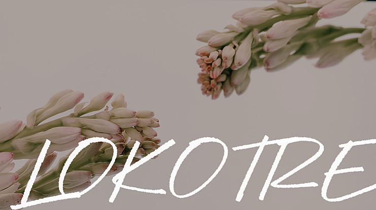 LOKOTRE Font