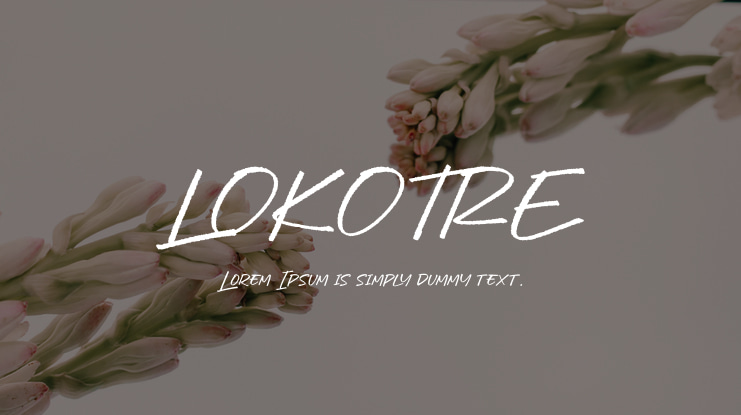 LOKOTRE Font