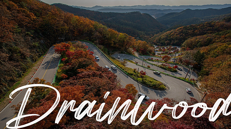 Drainwood Font