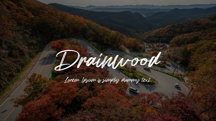 Drainwood Font