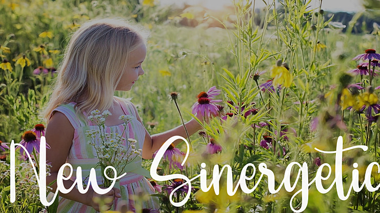 New Sinergetic Font