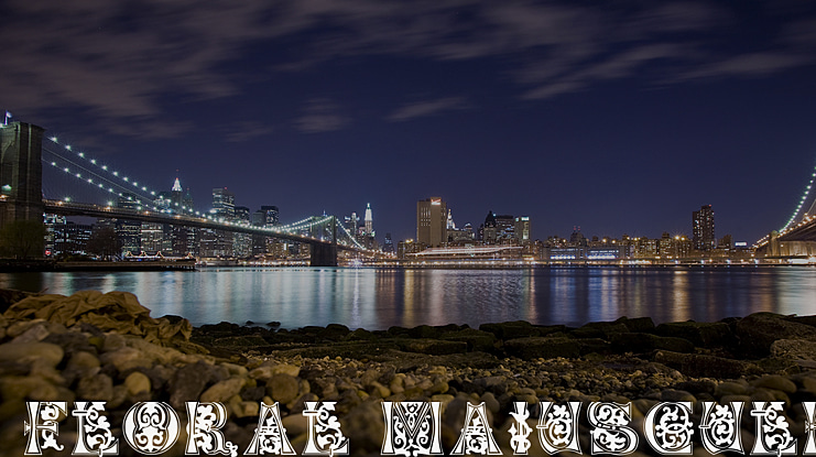 Floral Majuscules, 11th c. Font