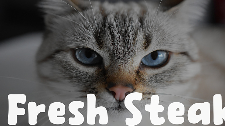 Fresh Steak Font