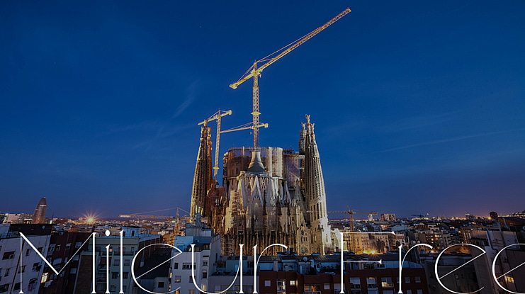 Mileur Free Font Family