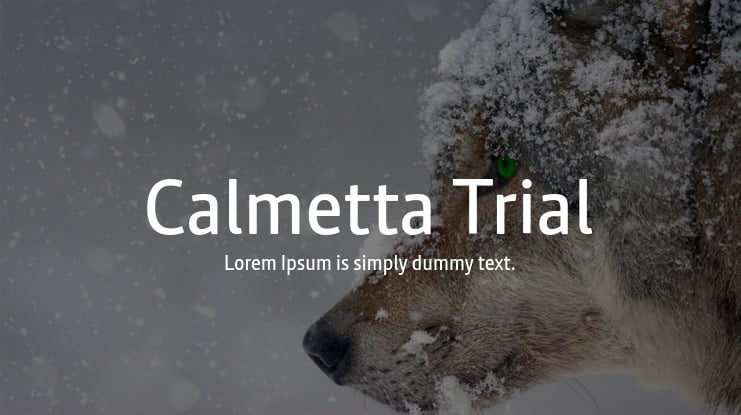 Calmetta Trial Font Family