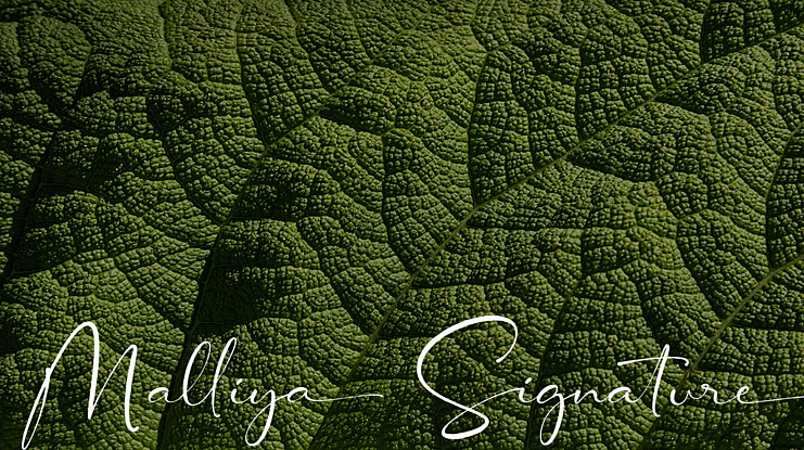 Malliya Signature Font