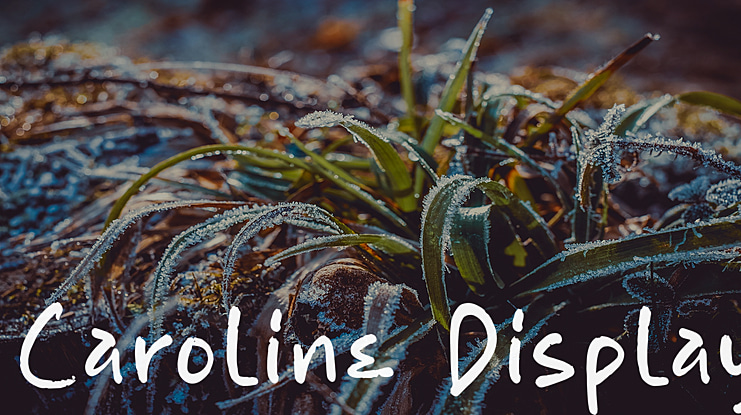 Caroline Display Font