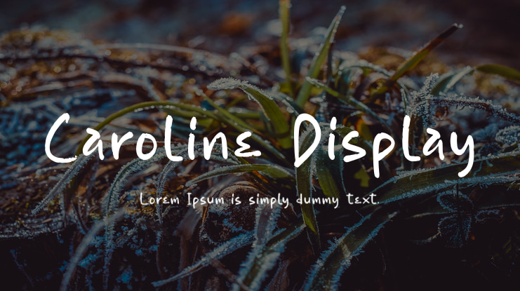Caroline Display Font