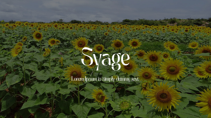 Syage Font